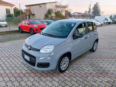 usata Fiat Panda 1.0 70cv E6D-Isc Hybrid