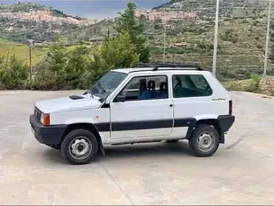Usata Fiat Panda 4x4 54 CV (39 kW) 1999 Bianco Utilitaria