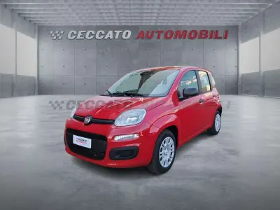 Nuova Fiat Panda Icon 65 CV (47 kW) 2026 Rosso Utilitaria