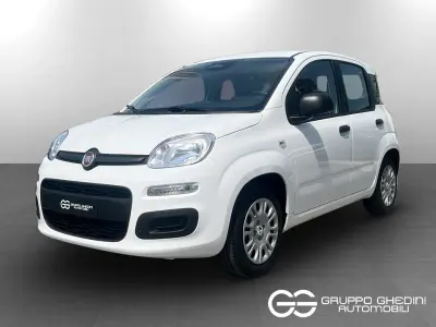 Nuova Fiat Panda Icon 65 CV (47 kW) 2026 Bianco gelato pastello Utilitaria
