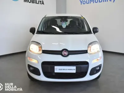 Usata Fiat Panda Easy 84 CV (61 kW) 2018 Bianco Utilitaria