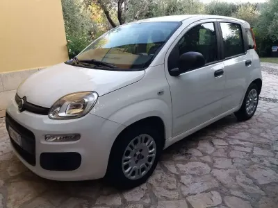 Usata Fiat Panda Easy 69 CV (50 kW) 2015 Bianco Utilitaria