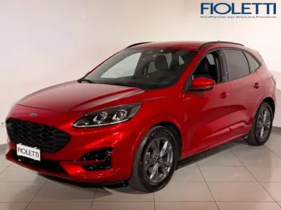 Usata Ford Kuga ST-Line 190 CV (139 kW) 2023 Rosso SUV