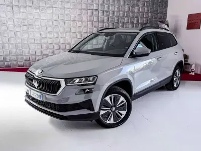 Usata Skoda Karoq