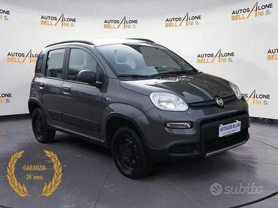 Usata Fiat Panda 4x4 Wild 84 CV (61 kW) 2022 Grigio Utilitaria