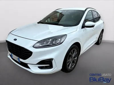 Usata Ford Kuga ST-Line 120 CV (88 kW) 2023 Frozen white SUV