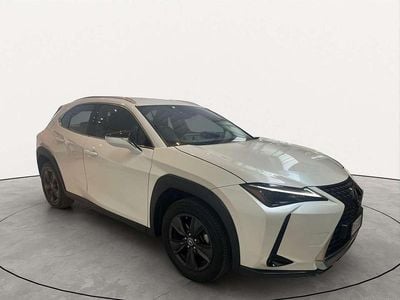 Usata Lexus UX 250h 145 CV (106 kW) 2024 Bianco SUV