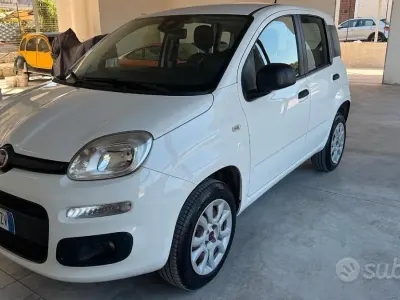 Usata Fiat Panda Easy 84 CV (61 kW) 2018 Bianco Utilitaria