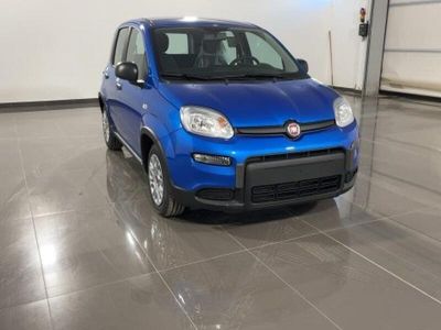 usata Fiat Panda 3ª serie 1.0 FireFly S&S Hybrid