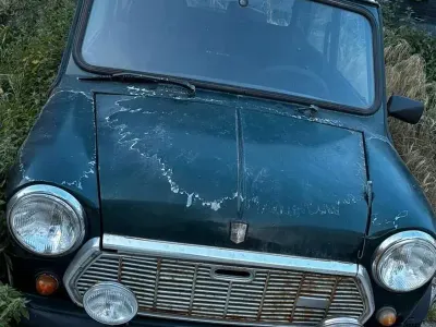 Usata Mini 1000 1989 Verde Utilitaria