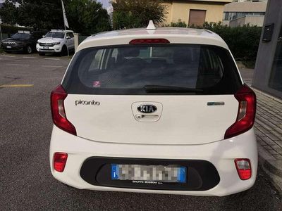Usata Kia Picanto City 67 CV (49 kW) 2020 Bianco Utilitaria
