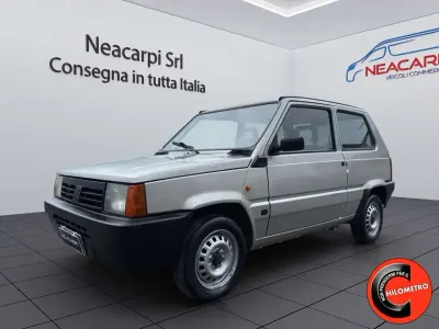 Usata Fiat Panda Young 54 CV (39 kW) 2002 Argento SUV