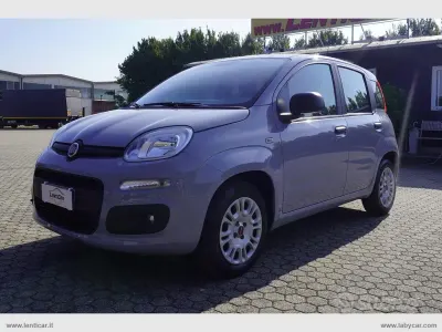 Usata Fiat Panda Easy 69 CV (50 kW) 2019 Grigio Utilitaria