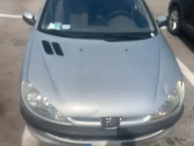 Usata Peugeot 206