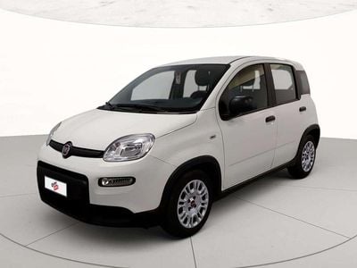 Usata Fiat Panda S 70 CV (51 kW) 2024 Bianco Utilitaria