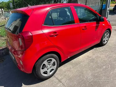 Usata Kia Picanto Active 85 CV (62 kW) 2018 Rosso Utilitaria