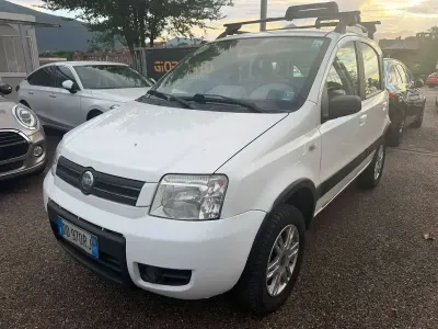 Usata Fiat Panda 4x4 Climbing 69 CV (50 kW) 2006 Bianco Utilitaria