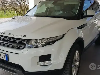 Usata Land Rover Range Rover evoque Pure 190 CV (139 kW) 2014 Bianco SUV