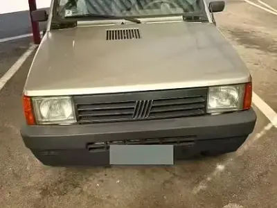 Usata Fiat Panda 4x4 Trekking 54 CV (39 kW) 2000 Grigio Utilitaria