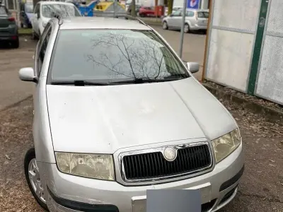 Usata Skoda Fabia