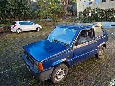 Usata Fiat Panda Young 2002 Blu Berlina
