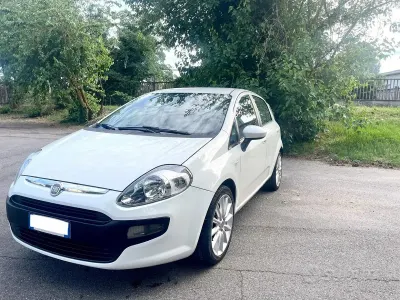 Usata Fiat Punto Evo Emotion 105 CV (77 kW) 2009 Bianco Utilitaria