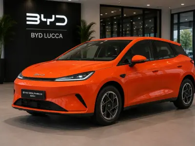 Usata BYD Dolphin