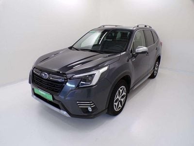 Usata Subaru Forester Style 150 CV (110 kW) 2023 Grigio mag SUV