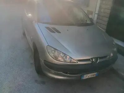 Usata Peugeot 206