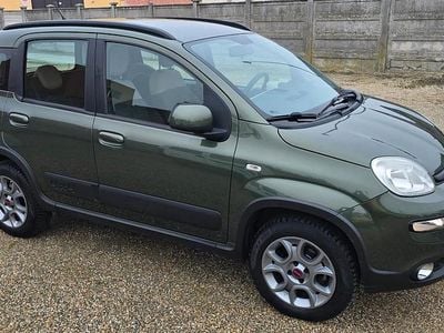 Usata Fiat Panda 4x4 Climbing 75 CV (55 kW) 2013 Verde Utilitaria