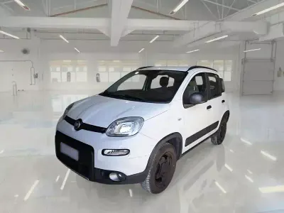 Usata Fiat Panda 4x4 Wild 85 CV (62 kW) 2021 Utilitaria
