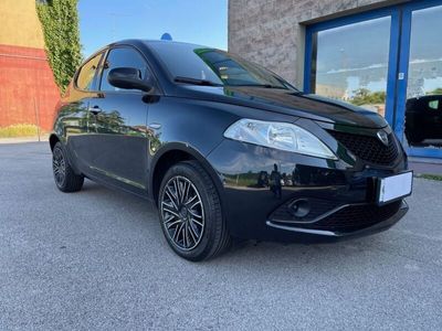 usata Lancia Ypsilon 1.2 69 CV 5 porte Elefantino Blu usato