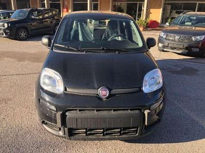 usata Fiat Panda -