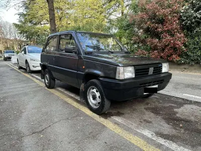 Usata Fiat Panda 4x4 Trekking 54 CV (39 kW) 1996 Grigio Utilitaria