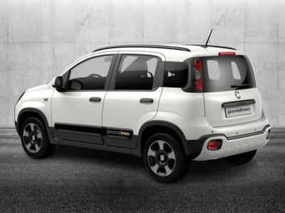 Usata Fiat Panda S 70 CV (51 kW) 2024 Bianco Utilitaria