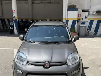 Usata Fiat Panda City Life 69 CV (50 kW) 2024 Utilitaria