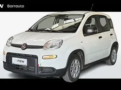 Usata Fiat Panda Easy 69 CV (50 kW) 2024 Bianco Utilitaria