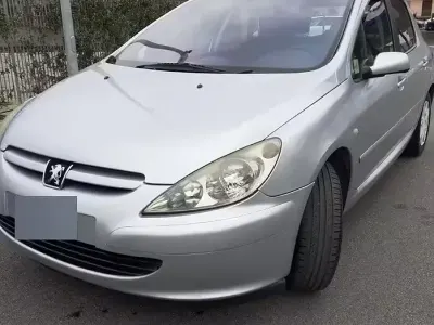 Usata Peugeot 307