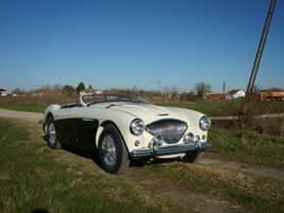 Usata Austin Healey 100 90 CV (66 kW) 1956 Bianco Cabrio
