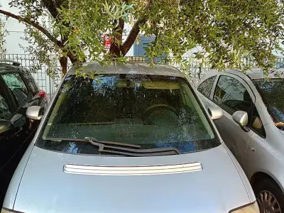 Usata Audi A2