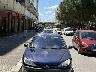 Usata Peugeot 206