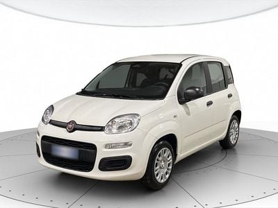 Nuova Fiat Panda Pop 70 CV (51 kW) 2025 Bianco Berlina