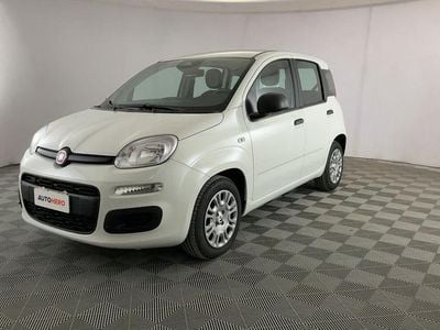 Nuova Fiat Panda 69 CV (50 kW) 2025 Bianco Utilitaria
