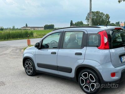 Usata Fiat Panda City Life 70 CV (51 kW) 2022 Grigio Utilitaria