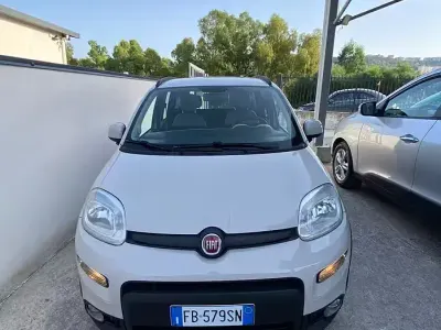Usata Fiat Panda 4x4 S 95 CV (69 kW) 2015 Beige Utilitaria