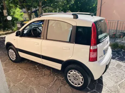 Usata Fiat Panda 4x4 Climbing 69 CV (50 kW) 2011 Utilitaria