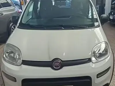 Usata Fiat Panda 4x4 S 84 CV (61 kW) 2019 Bianco Utilitaria