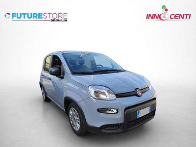 Usata Fiat Panda City Life 69 CV (50 kW) 2023 Grigio moda Utilitaria