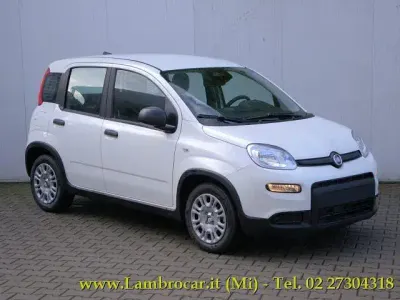 Nuova Fiat Panda S 70 CV (51 kW) 2025 Bianco Utilitaria