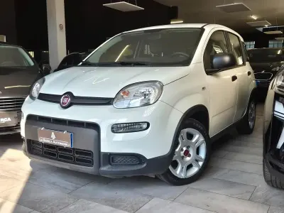 Usata Fiat Panda